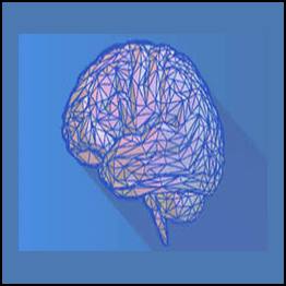 Neuroscience Synthesis To Rewire Your Brain