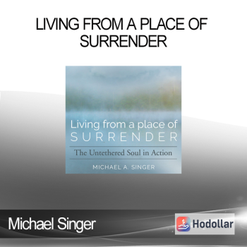 Michael Singer - Living From A Place Of Surrender