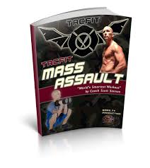 Scott Sonnon - TACFTT Mass Assault