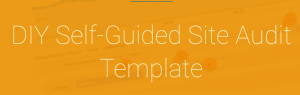 Annie Cushing - the Annielytics Site Audit Template