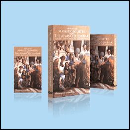 The Market Geometry Advanced Seminar DVD