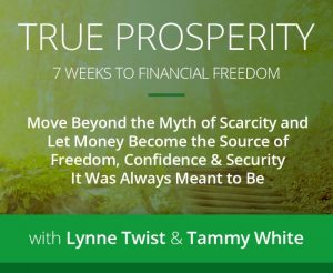 Lynn Twist & Tammy White - True Prosperity 7-Week Digital Course