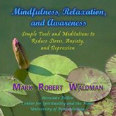 Mark Waldman - The NeuroSecrets - MP3s for Mindfulness