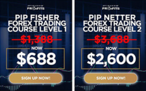 Adam Khoo – Piranha Profits – Stock Trading Course Level 1&2 Market Snapper