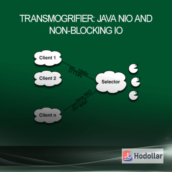 Transmogrifier: Java NIO and Non-Blocking IO