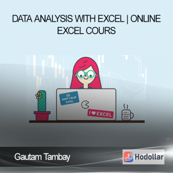 Gautam Tambay - Data Analysis with Excel | Online Excel Cours