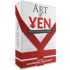 MTI - Art of Yen Course (Feb 2014)
