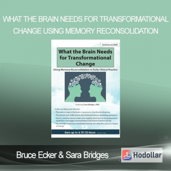 Bruce Ecker & Sara Bridges - What the Brain Needs for Transformational Change - Using Memory Reconsolidation in Daily Clinical Practice