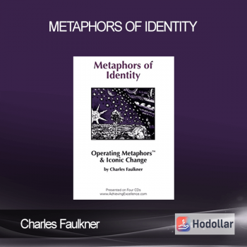 Charles Faulkner - Metaphors of Identity