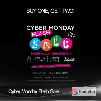 Cyber Monday Flash Sale - Buy One, Get Two!