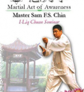 Sam F.S. Chin - Introduction to Nei Gong & Engagement Qualities