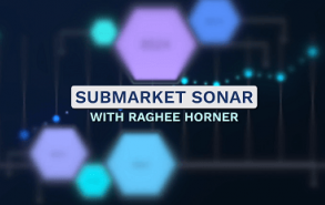 Simpler Trading, Raghee - Submarket Sonar