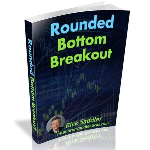 Rick Saddler - Rounded Bottom Breakout Multimedia Course
