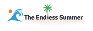 Sharad Thaper - The Endless Summer Google Shopping Course