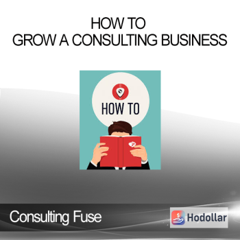 Consulting Fuse - How to Grow a Consulting Business