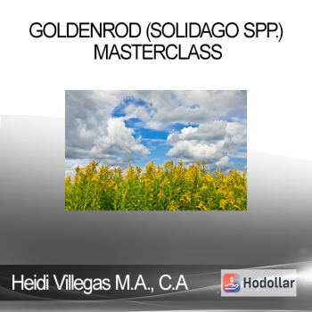 Heidi Villegas M.A. C.A - Goldenrod (Solidago spp.) Masterclass