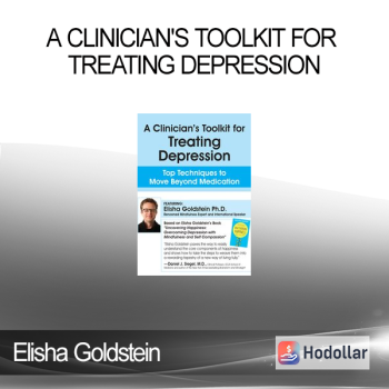Elisha Goldstein - A Clinician's Toolkit for Treating Depression: Top Techniques to Move Beyond Medication