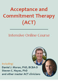 Daniel J. Moran & Steven C. Hayes - Acceptance and Commitment Therapy (ACT) Intensive Online Course